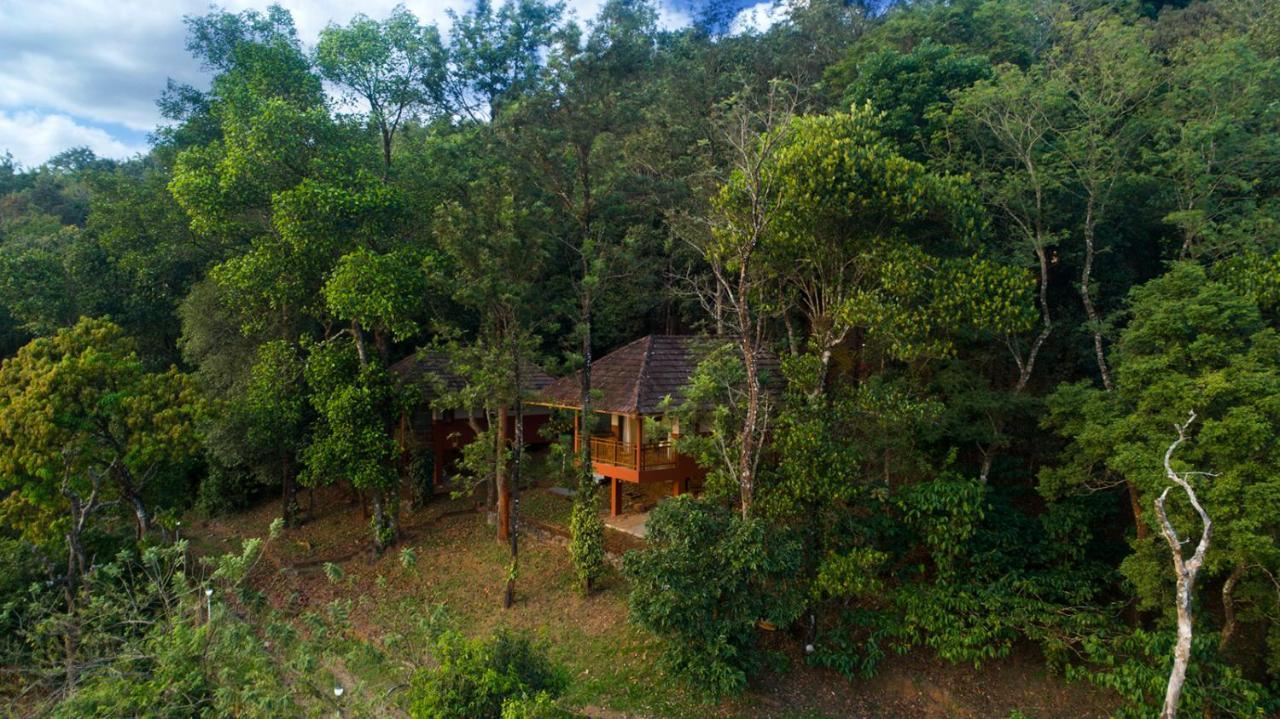 Terrace Resorts Wayanad Exterior photo